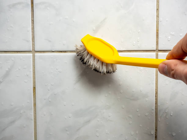 Best Certified Mold Removal  in Manton, MI