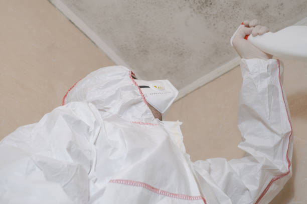 Best Mold Testing  in Manton, MI